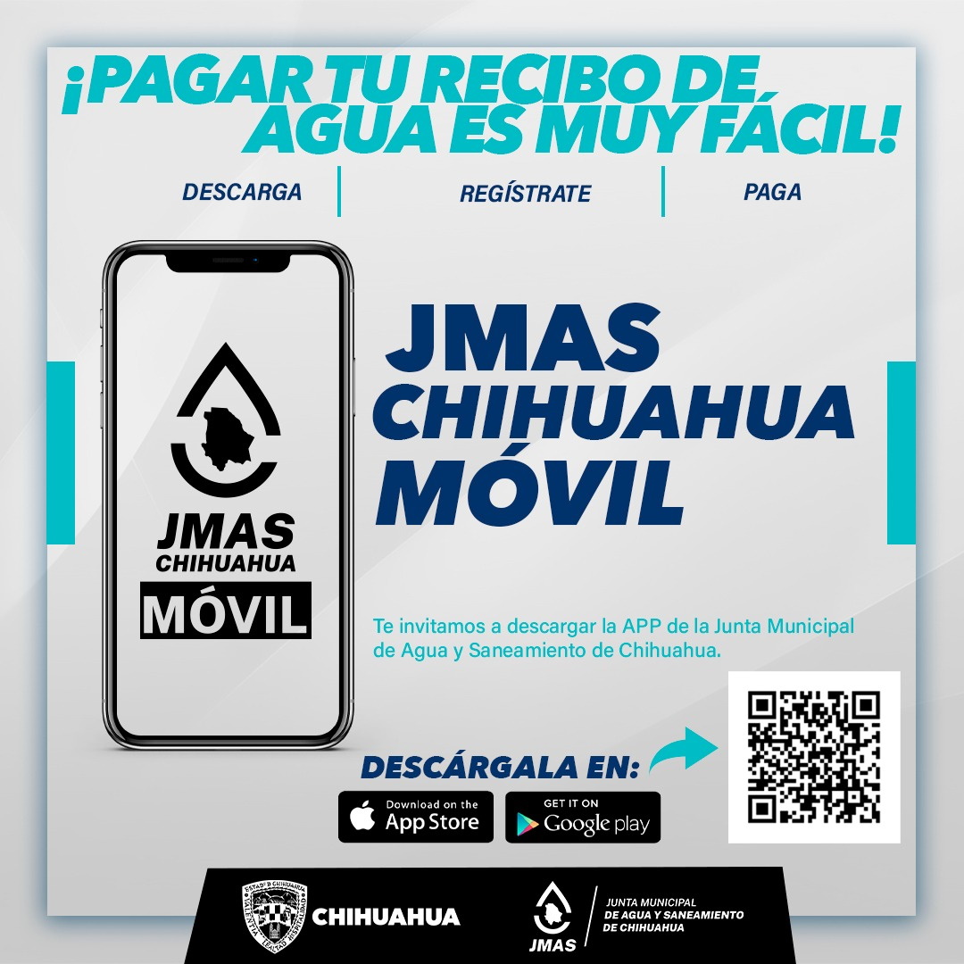 Jmas chihuahua